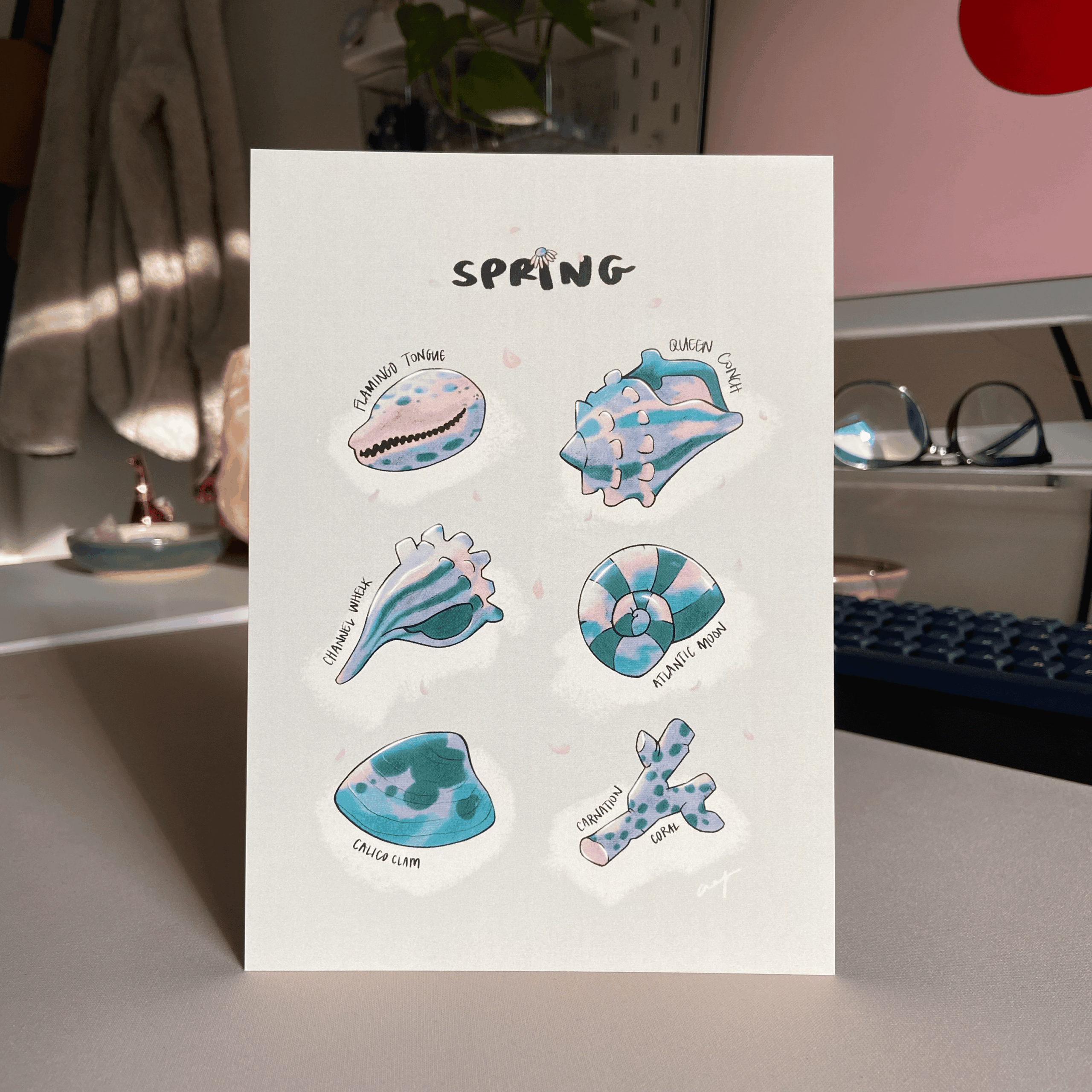 spring shells